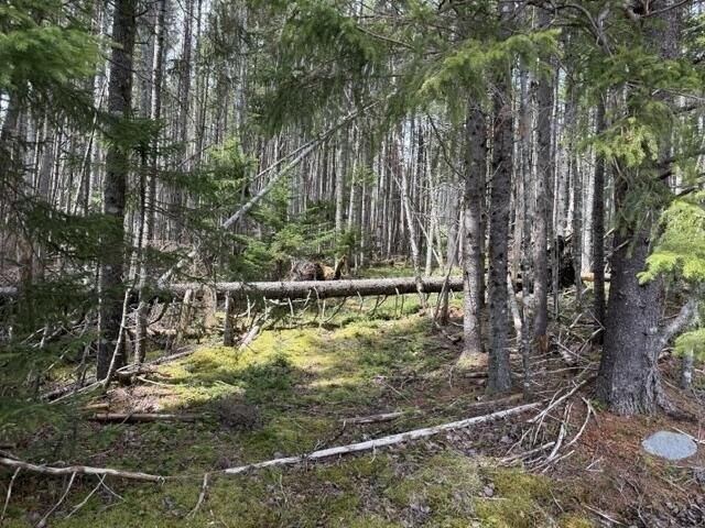 Land for sale in Whiting, Maine