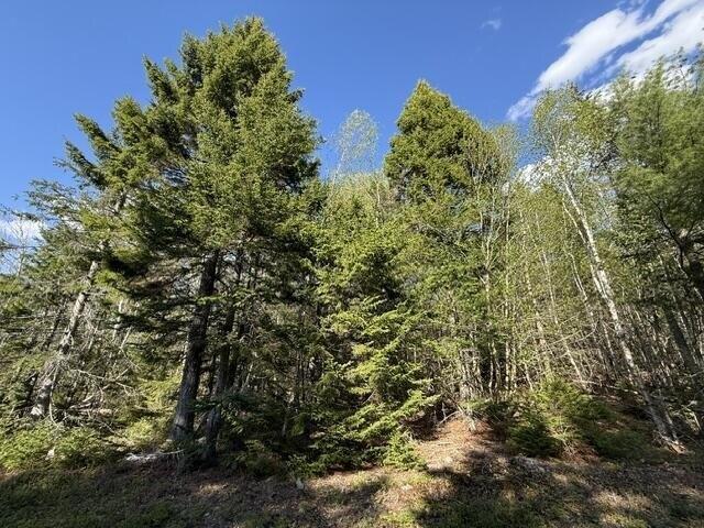 Land for sale in Whiting, Maine