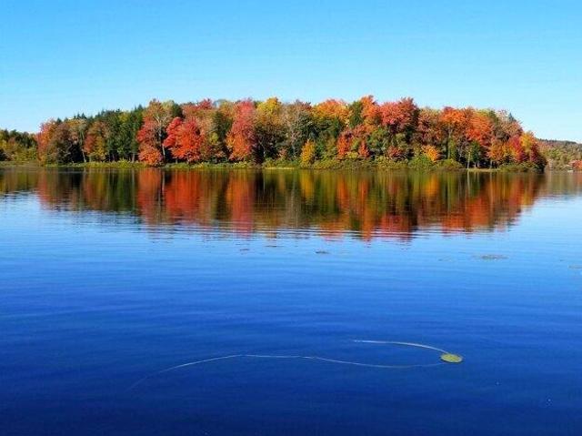 Land for sale in Whitingham, Vermont