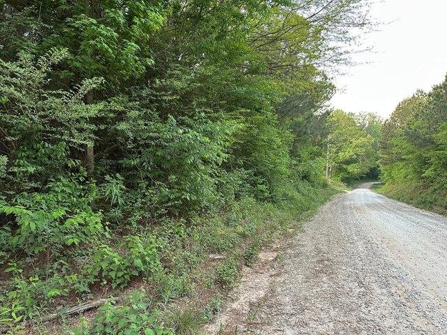Land for sale in Bowdon, Georgia