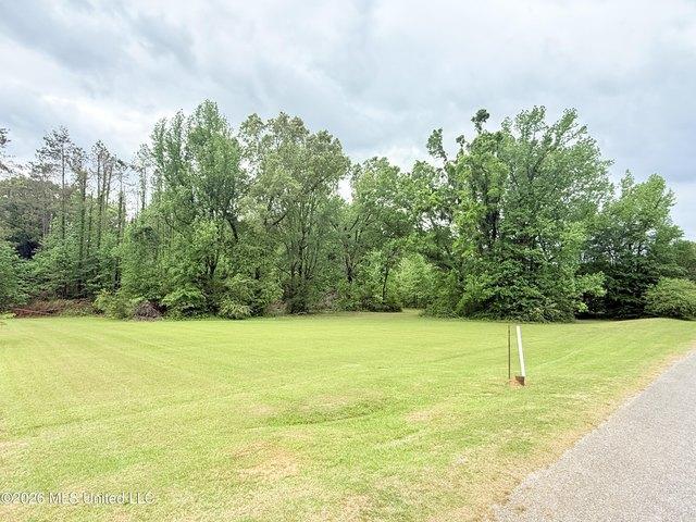 Land for sale in Grenada, Mississippi