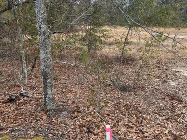 Land for sale in Aiken, South Carolina