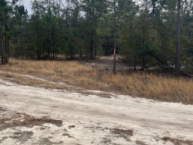 Land for sale in Aiken, South Carolina