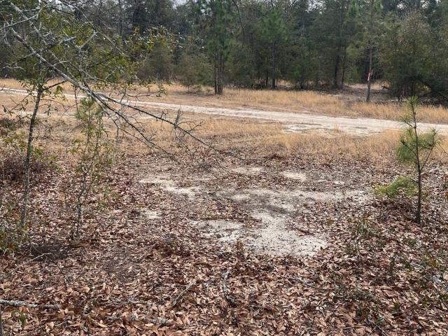 Land for sale in Aiken, South Carolina