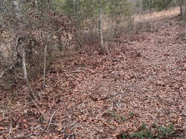 Land for sale in Aiken, South Carolina