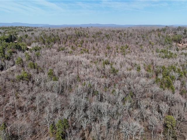 Land for sale in Ark