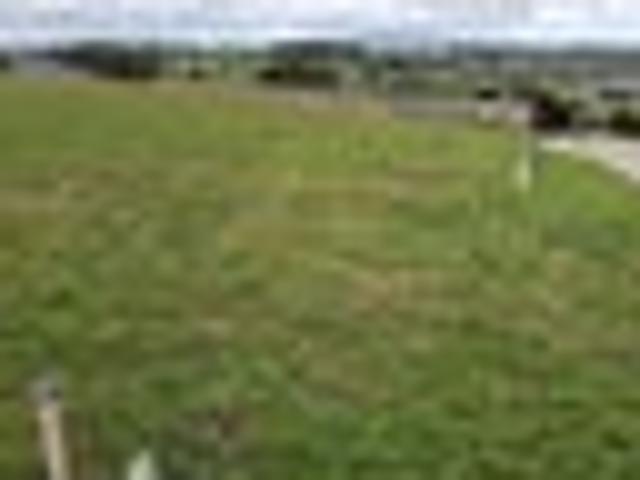 Land for sale in Te Awamutu, Waikato