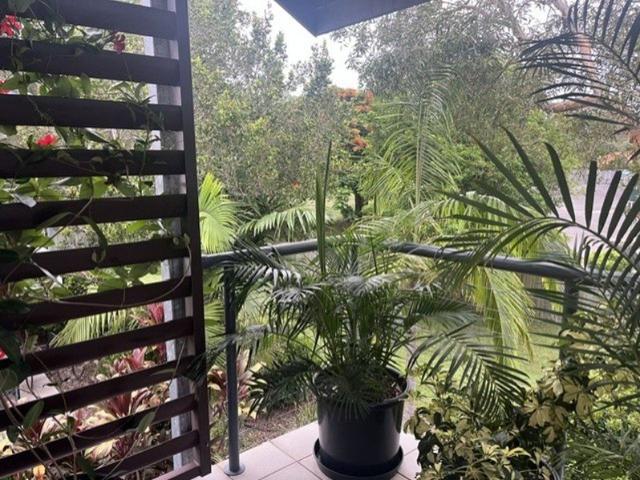 Apartment for rent in Noosaville, Noosa Shire