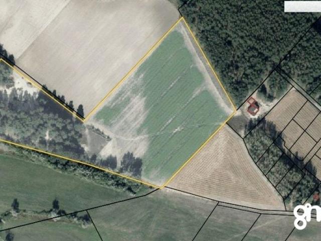 Grunt na sprzedaż w Silno, Kujawsko-pomorskie