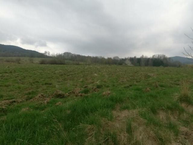 Grunt na sprzedaż w Wiśniowa, Małopolskie