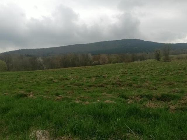 Grunt na sprzedaż w Wiśniowa, Małopolskie