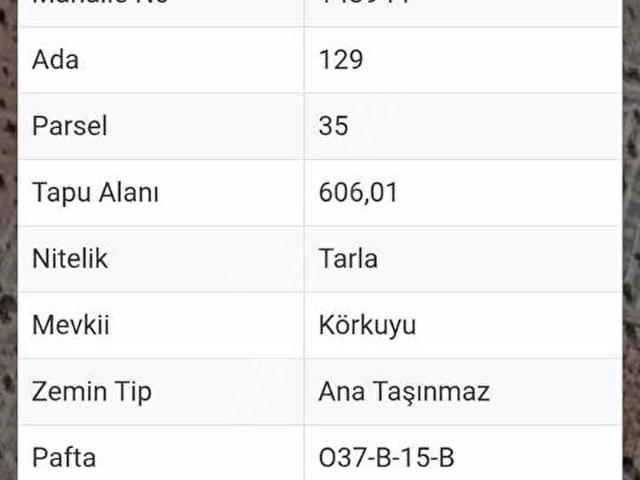 Musabeyli, Kilis içerisinde satılık mülk