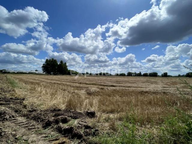 Grunt na sprzedaż w Kalisz, Wielkopolskie