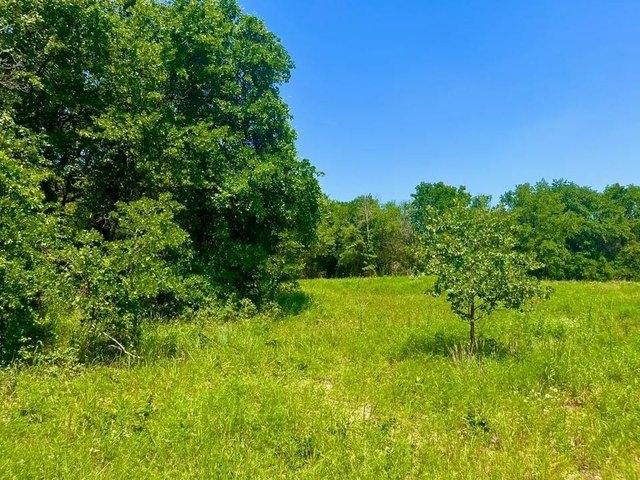Land for sale in Parker, Texas