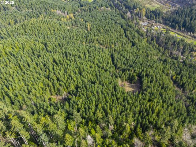 Land for sale in Dorena