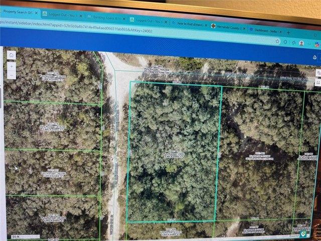 Land for sale in Webster, Florida