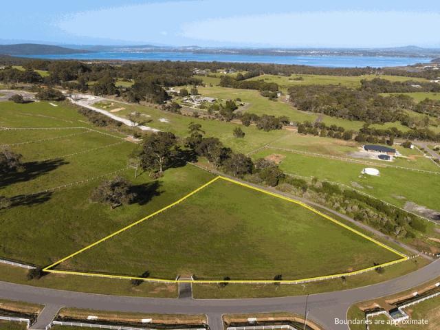Land for sale in Kalgan, Albany