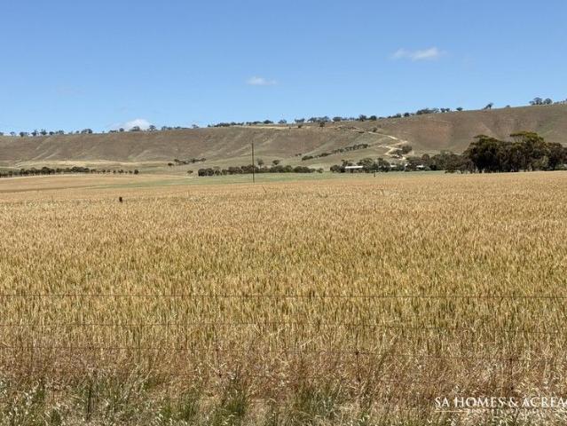 Land for sale in Goyder, South Australia