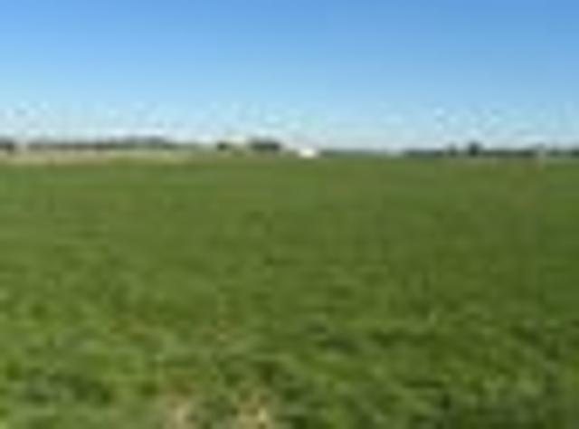 Land for sale in Waihopai Toetoe Community, Southland District