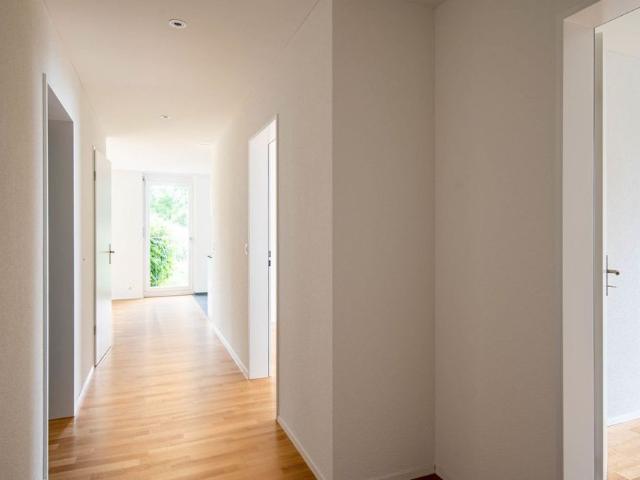 Apartment mieten in Sisseln, Aargau