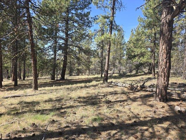 Land for sale in Oregonia