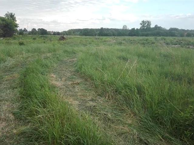Grunt na sprzedaż w Ciechocinek, Kujawsko-pomorskie