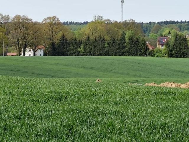 Grunt na sprzedaż w Unieszewo, Warmińsko-mazurskie
