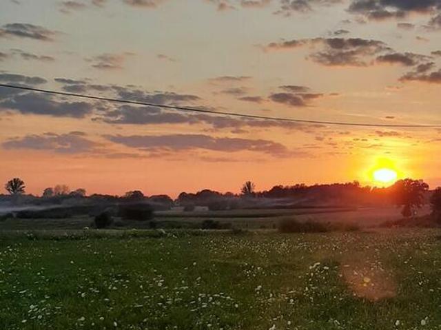 Grunt na sprzedaż w Świercze, Mazowieckie