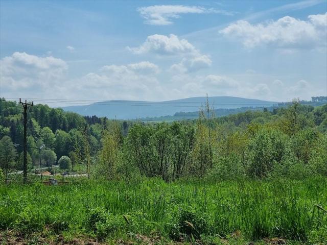 Grunt na sprzedaż w Leśna, Dolnośląskie
