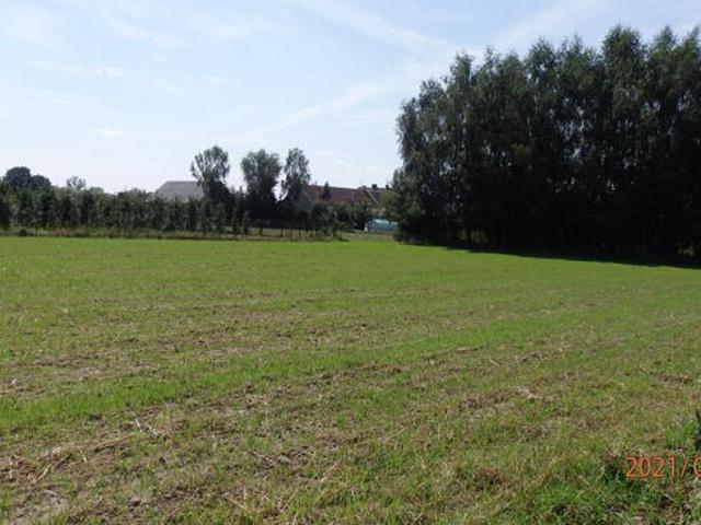 Grunt na sprzedaż w Świecie, Kujawsko-pomorskie