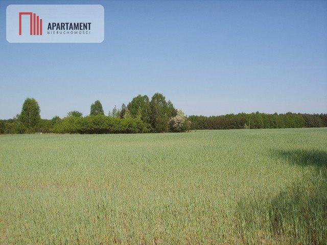 Grunt na sprzedaż w Świekatowo, Kujawsko-pomorskie