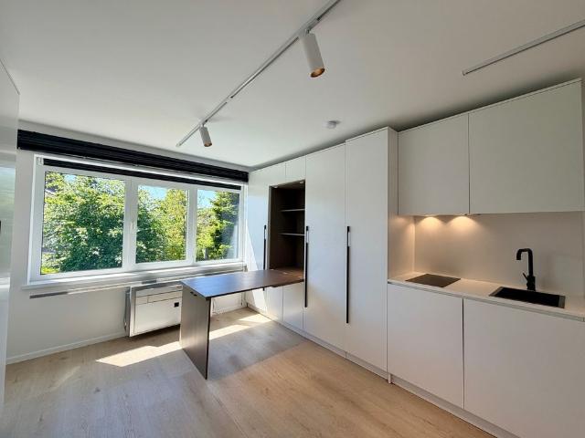 Kot location à Courtrai, West-Vlaanderen