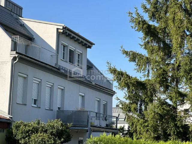 Wohnung kaufen in Donaustadt, Wien