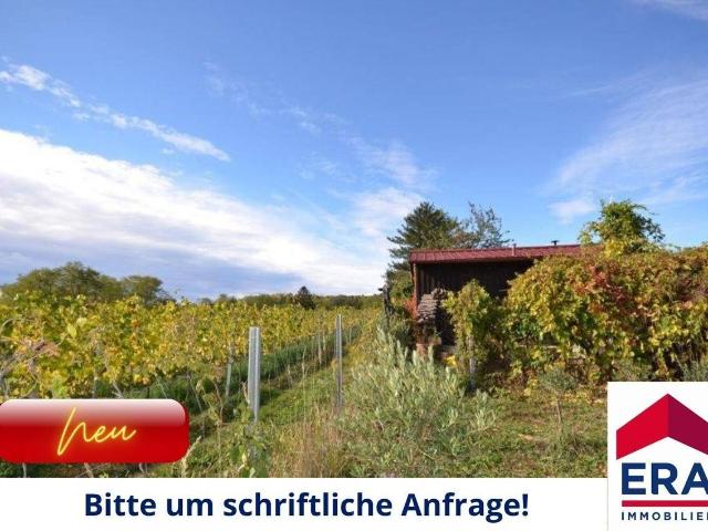 Haus kaufen in Wien Haus kaufen in Wien
