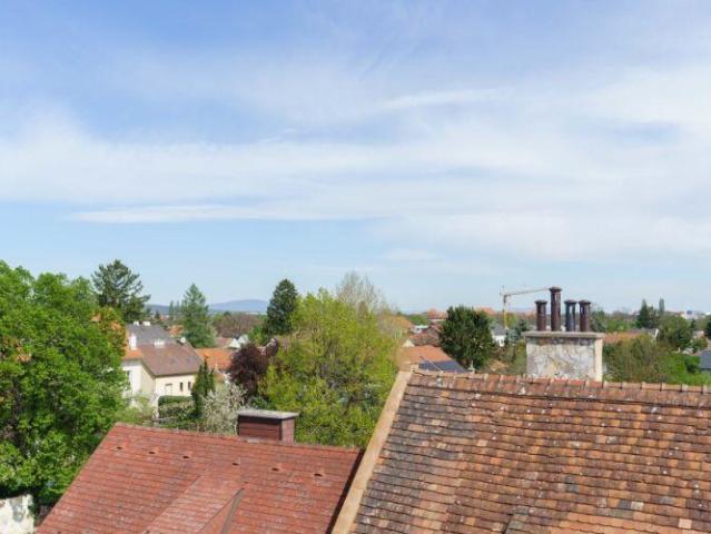 Wohnung kaufen in Wiener Neustadt, Niederösterreich