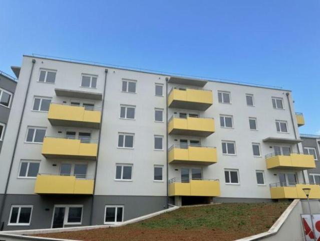 Wohnung mieten in Wiener Neustadt, Niederösterreich