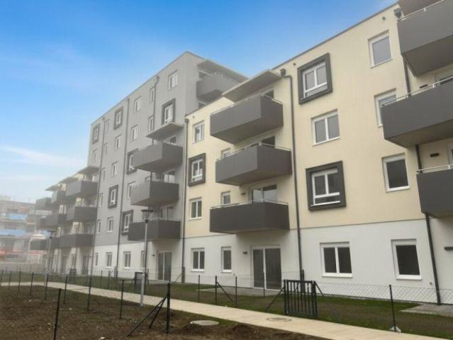 Wohnung mieten in Wiener Neustadt, Niederösterreich