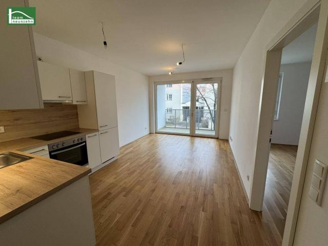Apartment mieten in Wiener Neustadt