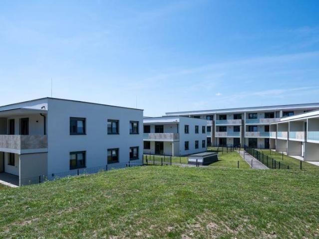 Apartment mieten in Wiener Neustadt, Niederösterreich
