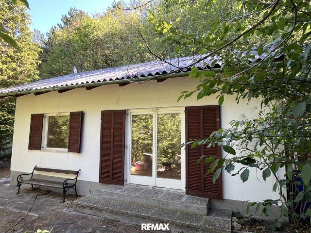 Haus kaufen in Mayerling, Alland