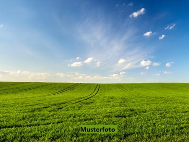 Immobilie kaufen in Nendaz, Wallis