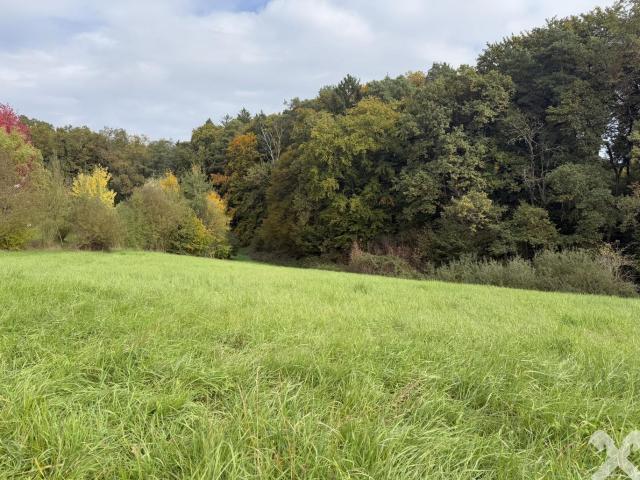 Grundstück kaufen in Riegersburg, Steiermark