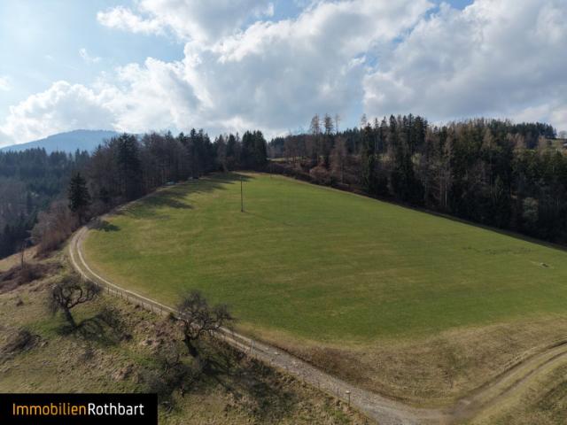 Immobilie kaufen in Birkfeld, Steiermark