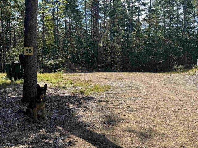 Land for sale in New Hampshire