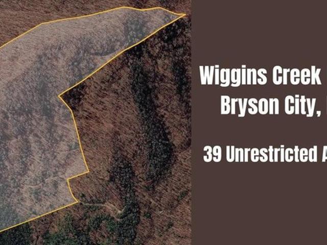 Land for sale in Bryson City, Swain County