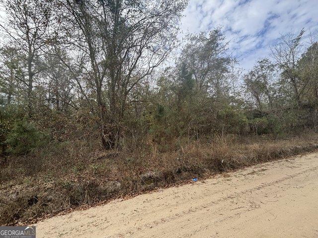 Land for sale in Cochran, Georgia