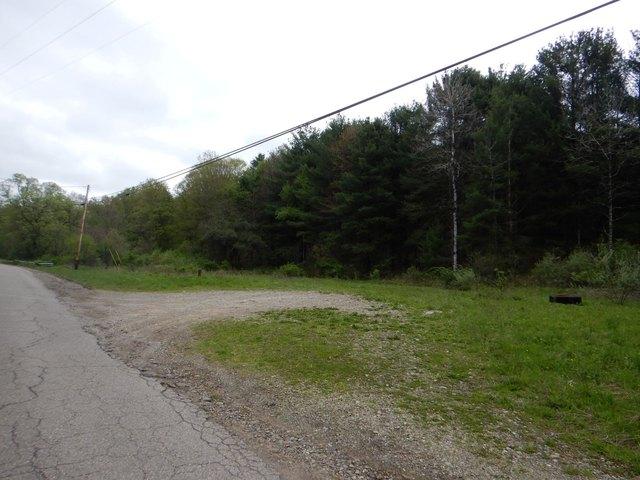 Land for sale in Alma, New York