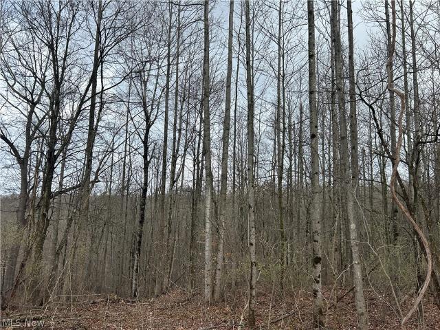 Land for sale in Crooksville, Morgan County