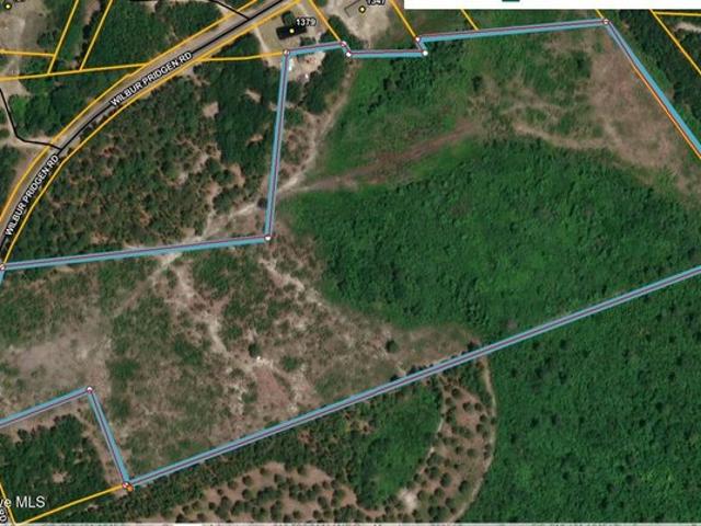 Land for sale in Harrells, North Carolina