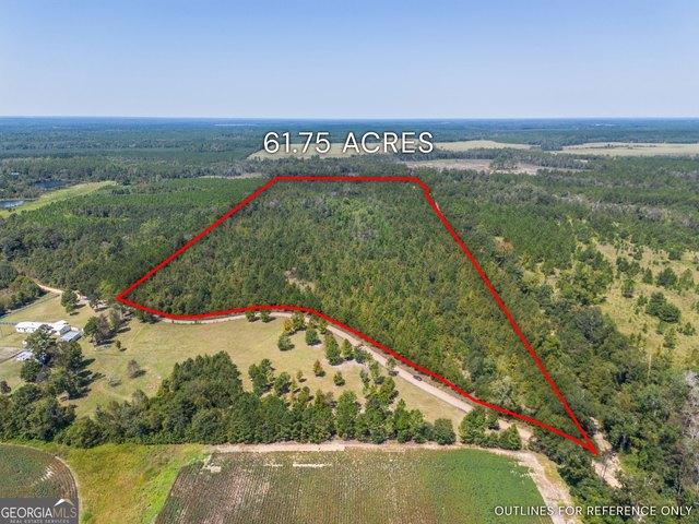Land for sale in Dodge, Georgia